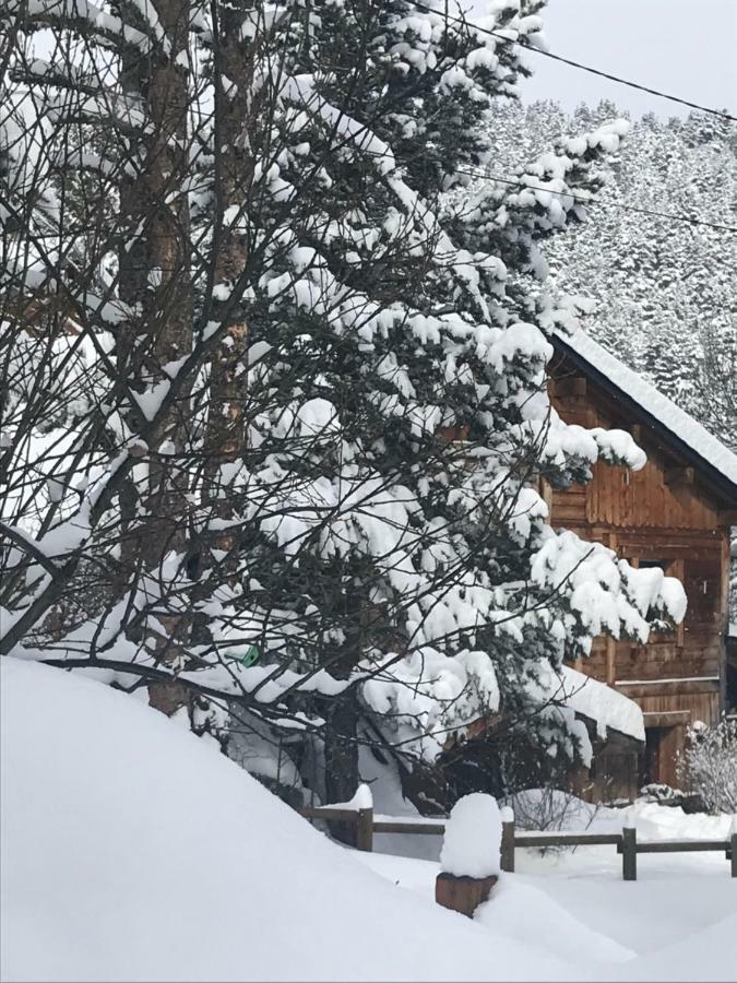 Chalet Pomme De Pin 5 Chambres 12 A 14 Personnes Formiguères 外观 照片